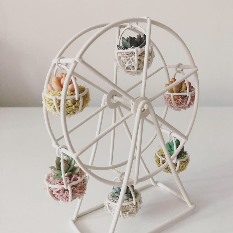 NG款 多肉转转摩天轮_仿真黏土多肉植物 - 摆饰 - 粘土 白色