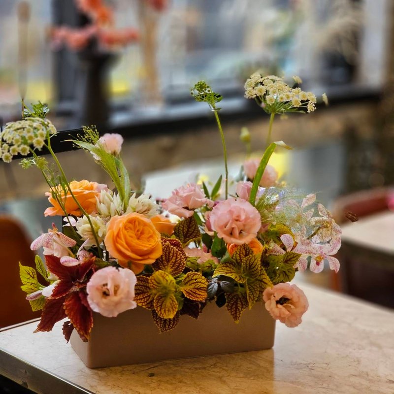 长型盆花  鲜花单次课程。初学无经验可。 - 植栽 - 植物．花 