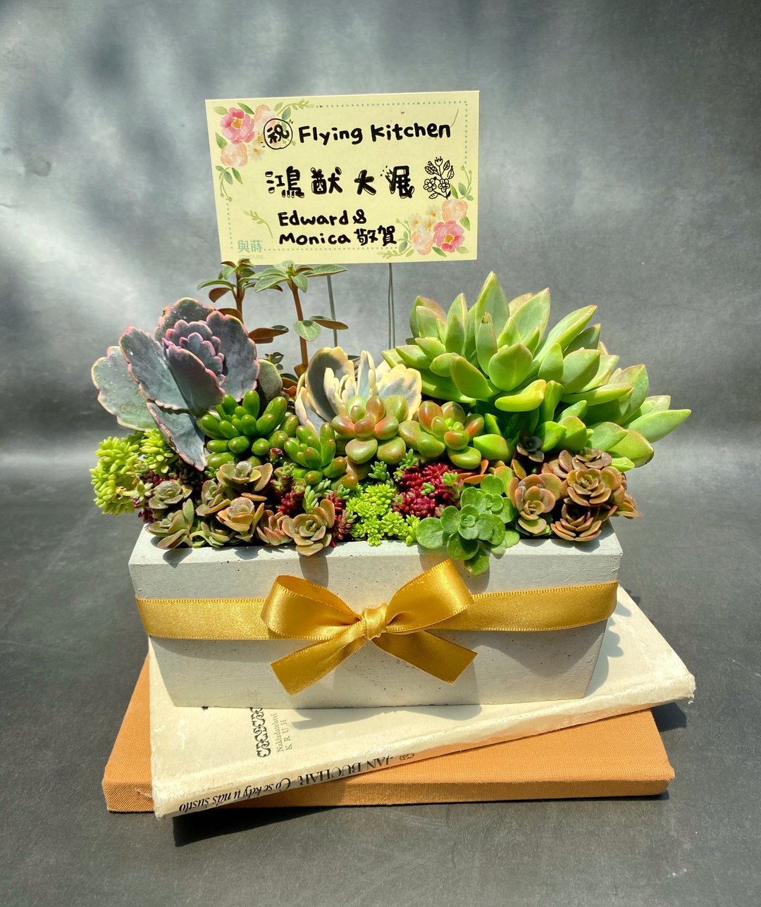 【客订】长方形多肉盆栽 | 同地址加购 - 植栽/盆栽 - 植物．花 绿色