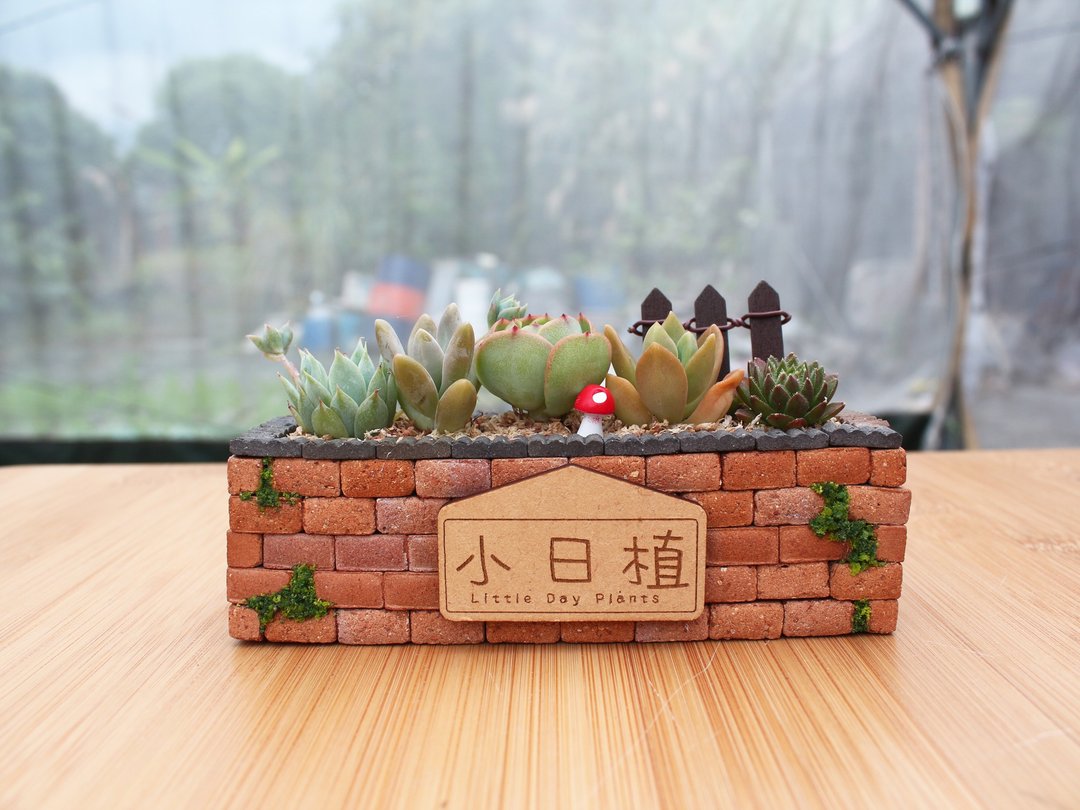 l小日植l 多肉植物 迷你小红砖 细长方组盆(附字牌) - 植栽/盆栽 - 植物．花 红色