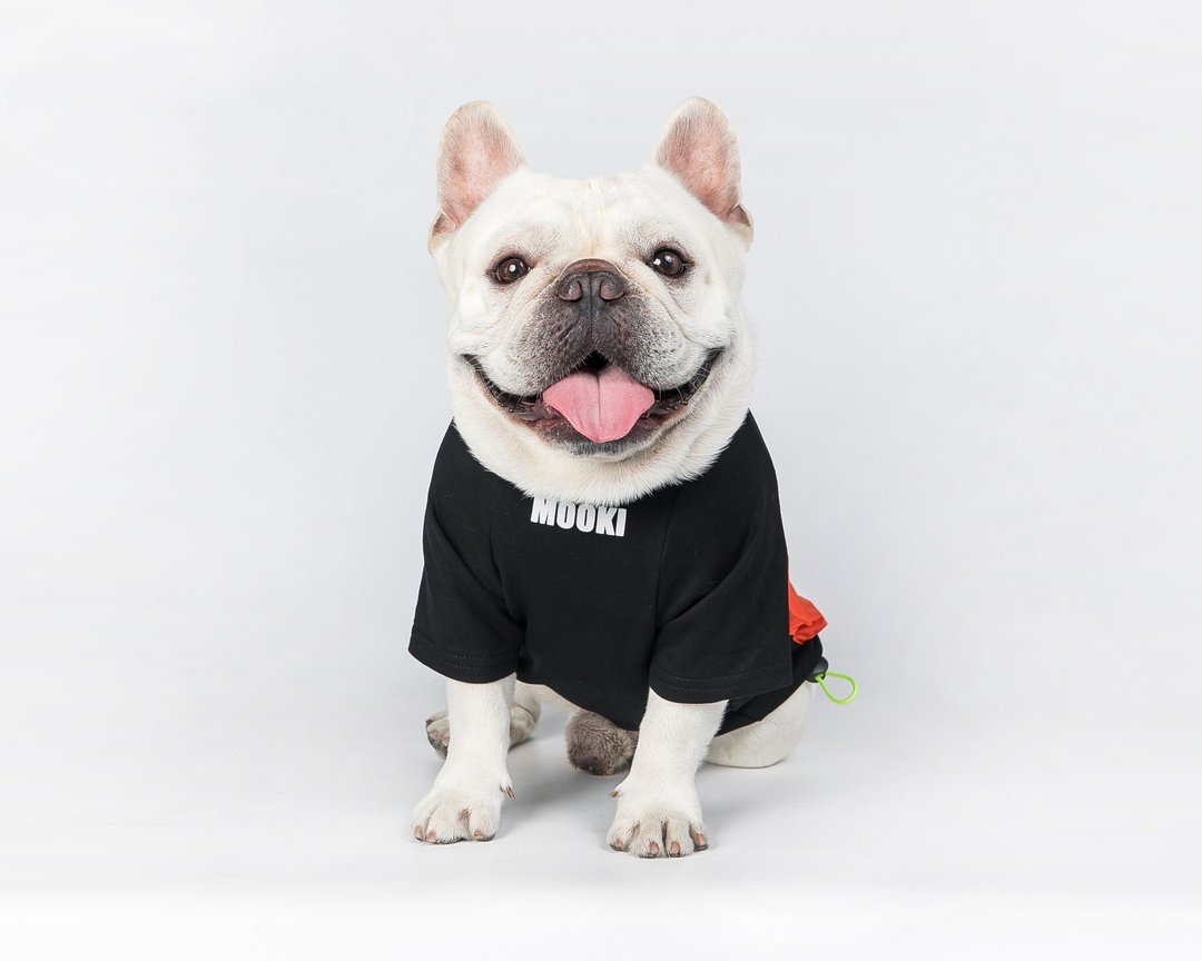 宠物衣服狗狗猫咪撞色口袋卫衣 - 衣/帽 - 棉 黑色