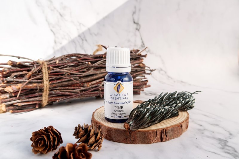 【澳洲原装】Pine Scotch 欧洲赤松精油 - 香薰/精油/线香 - 精油 
