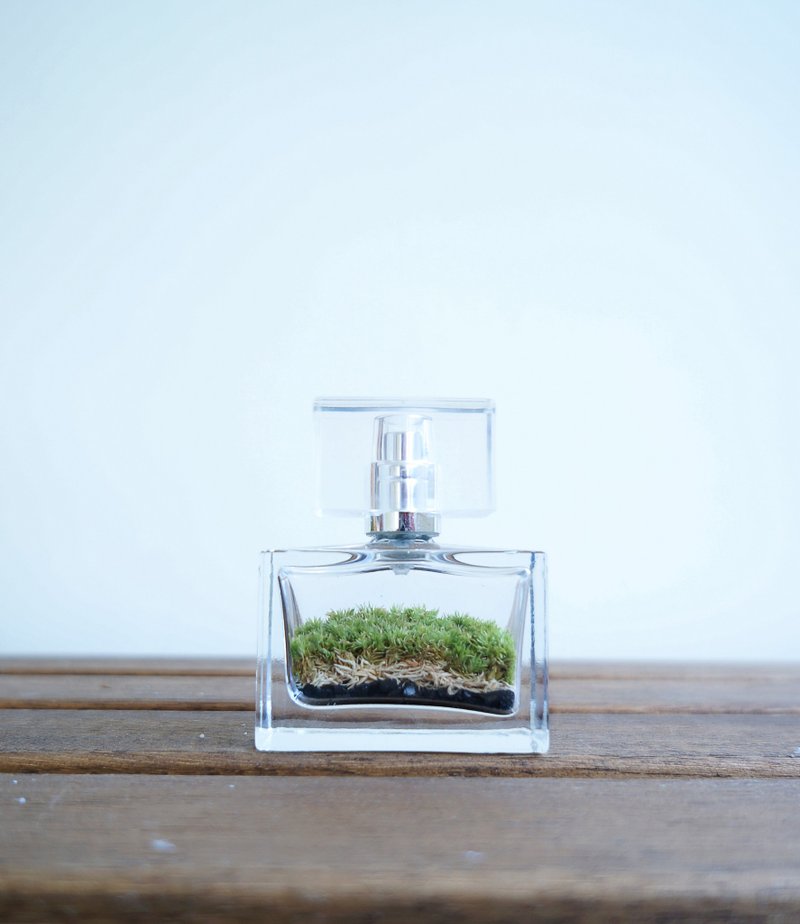 香水瓶苔盆栽 - 植栽/盆栽 - 玻璃 绿色
