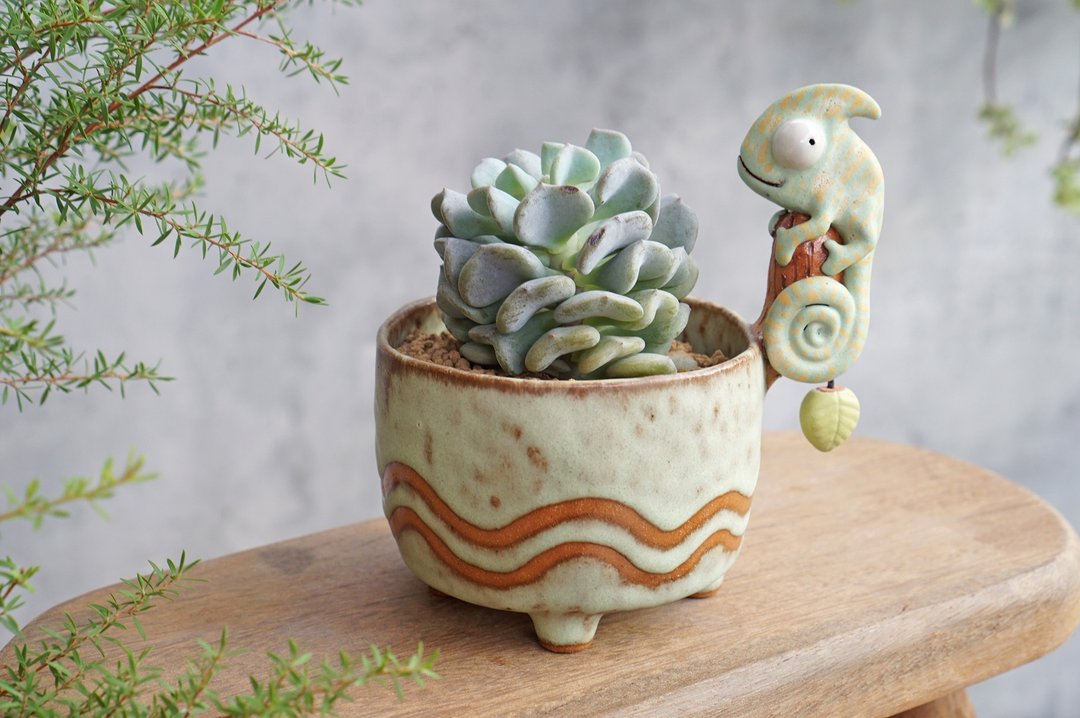 Branch with chameleon plant pot for cactus , handmade ceramic , pottery - 花瓶/陶器 - 陶 黄色