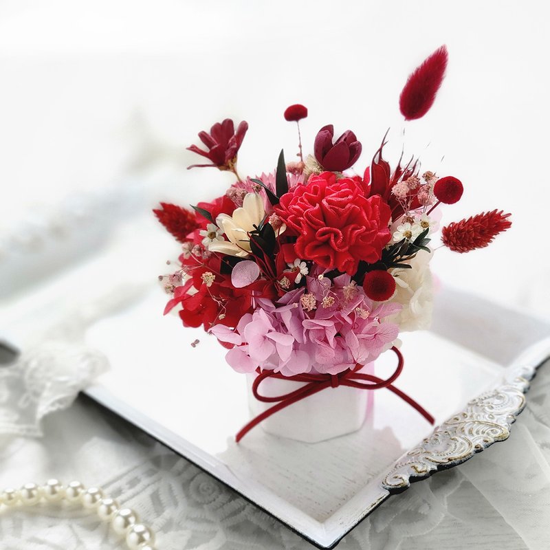 不凋永生扩香小盆花-索拉康乃馨 母亲节礼物 圣诞礼物 - 干燥花/捧花 - 植物．花 红色