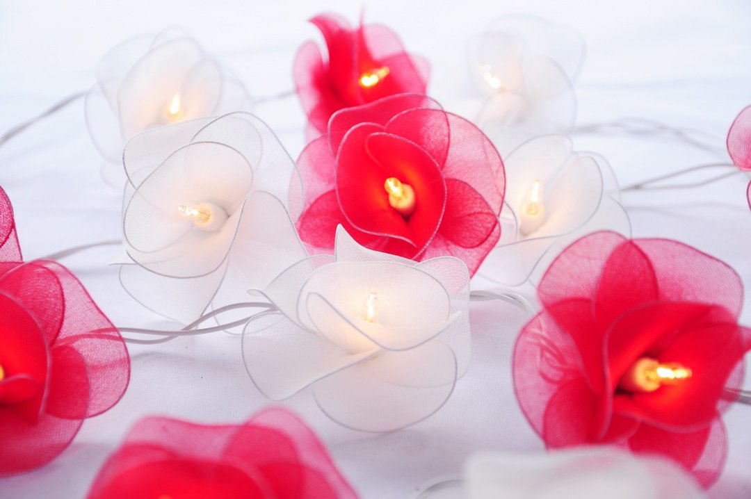 20 Romantic Flower String Lights for Home Decoration,Wedding,Party,Bedroom,Patio - 灯具/灯饰 - 纸 