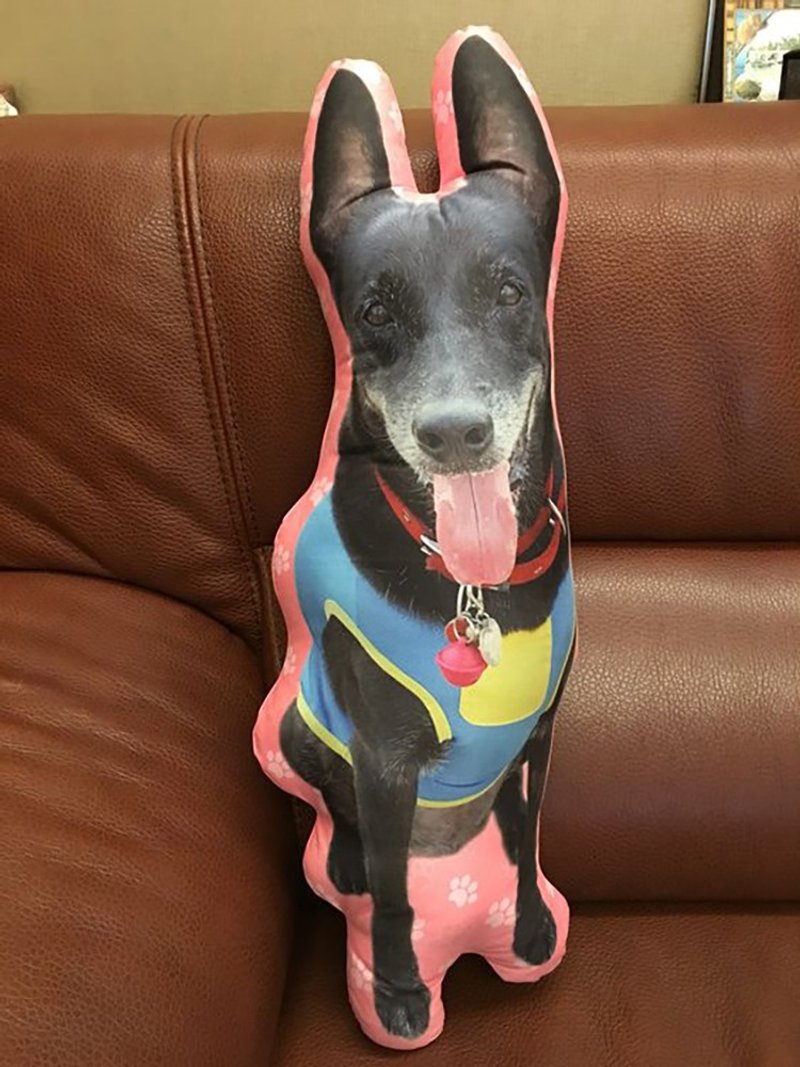 定制化抱枕-80cm - 枕头/抱枕 - 其他材质 