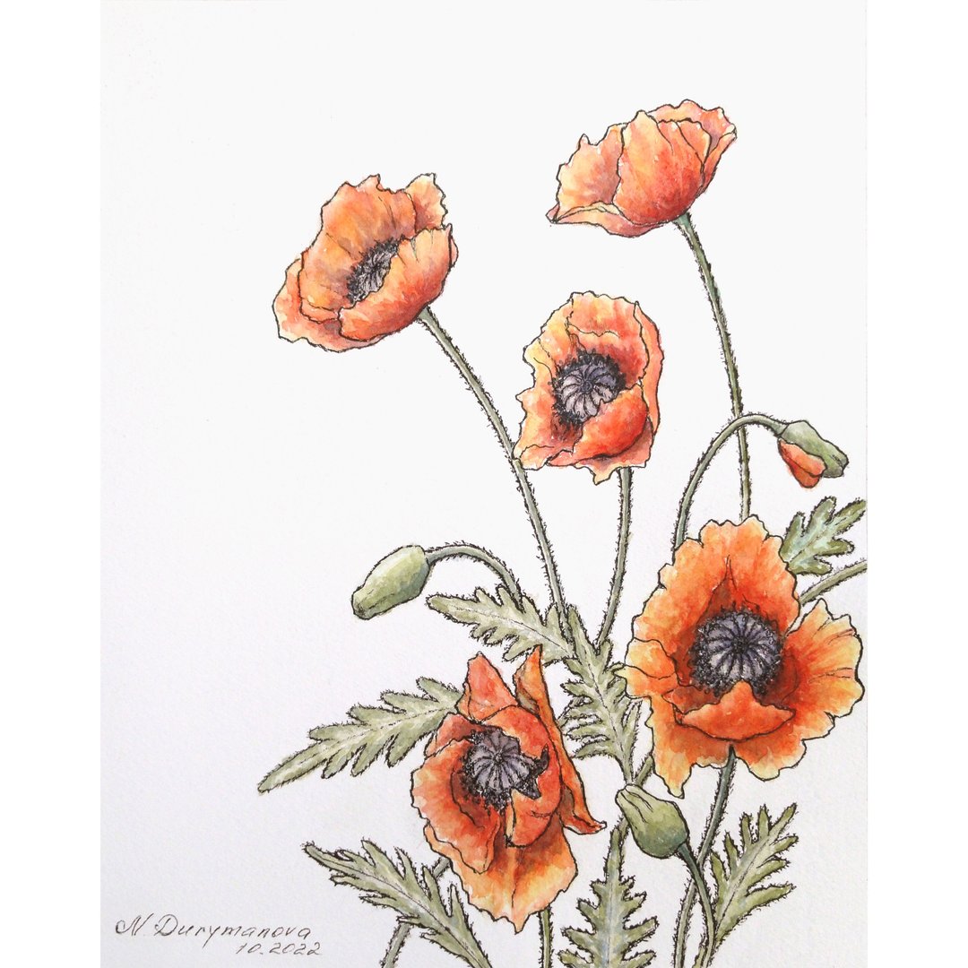 Poppy Painting Original Art Flower Watercolor Painting Floral Art by NataDuArt - 海报/装饰画/版画 - 纸 