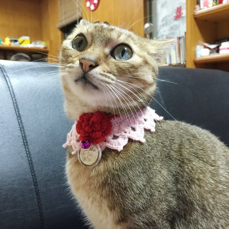 气质蕾丝猫项圈 - 项圈/牵绳 - 其他材质 多色