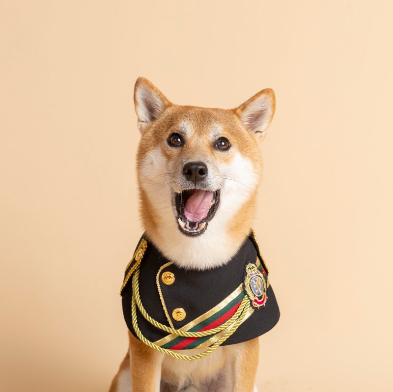 【ZAZAZOO】王者风范系列--帝国黑--(接单订制款) - 衣/帽 - 棉．麻 黑色