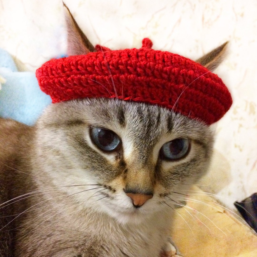猫咪贝雷帽 猫咪帽 简单钩针图案 法式猫咪贝雷帽 - 手工艺教程/工具书 - 其他材质 