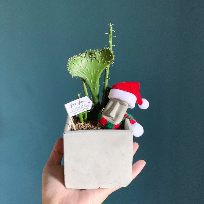 【24h出货.买盆送植物】摩艾方形水泥盆栽 多肉盆栽 @JU - 植栽/盆栽 - 水泥 灰色