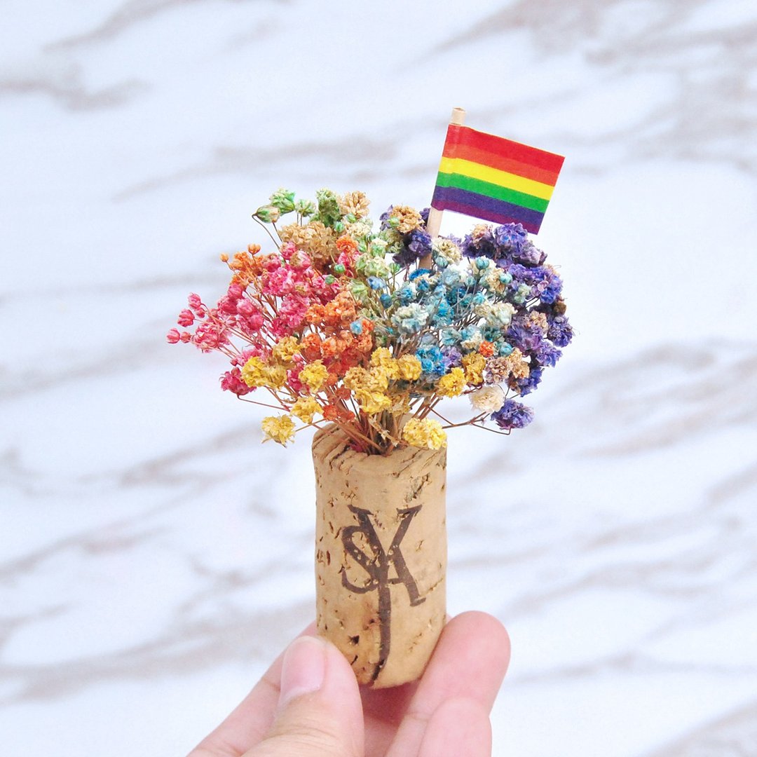 软木塞干燥花磁铁-LGBT六色彩虹满天星款 圣诞礼物 - 冰箱贴/磁贴 - 植物．花 多色