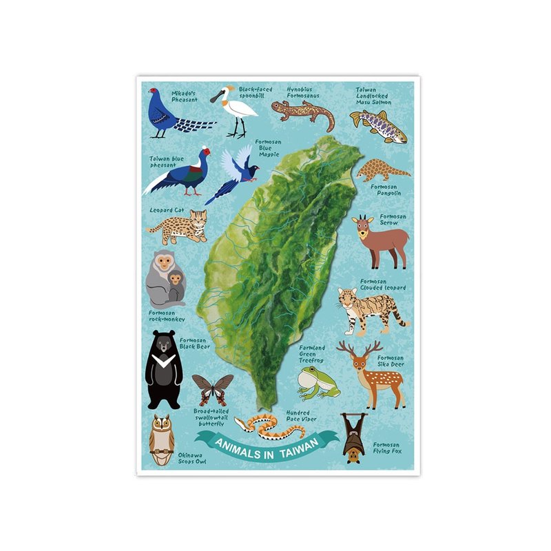 我爱台湾明信片--台湾特有动物 - 卡片/明信片 - 纸 蓝色