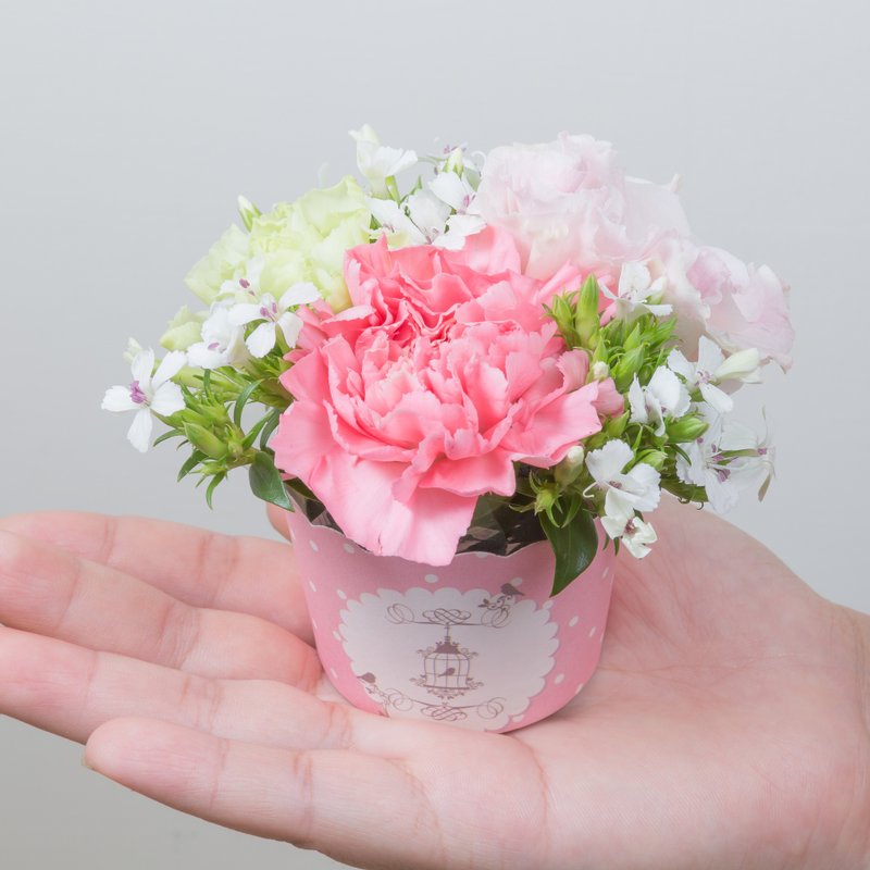 Kinki手作 很爱很爱妳 母亲节限量鲜花花礼预购 (限自取) 康乃馨 桔梗 深山樱 小盆花 小盆栽 蛋糕花 - 植栽/盆栽 - 植物．花 粉红色