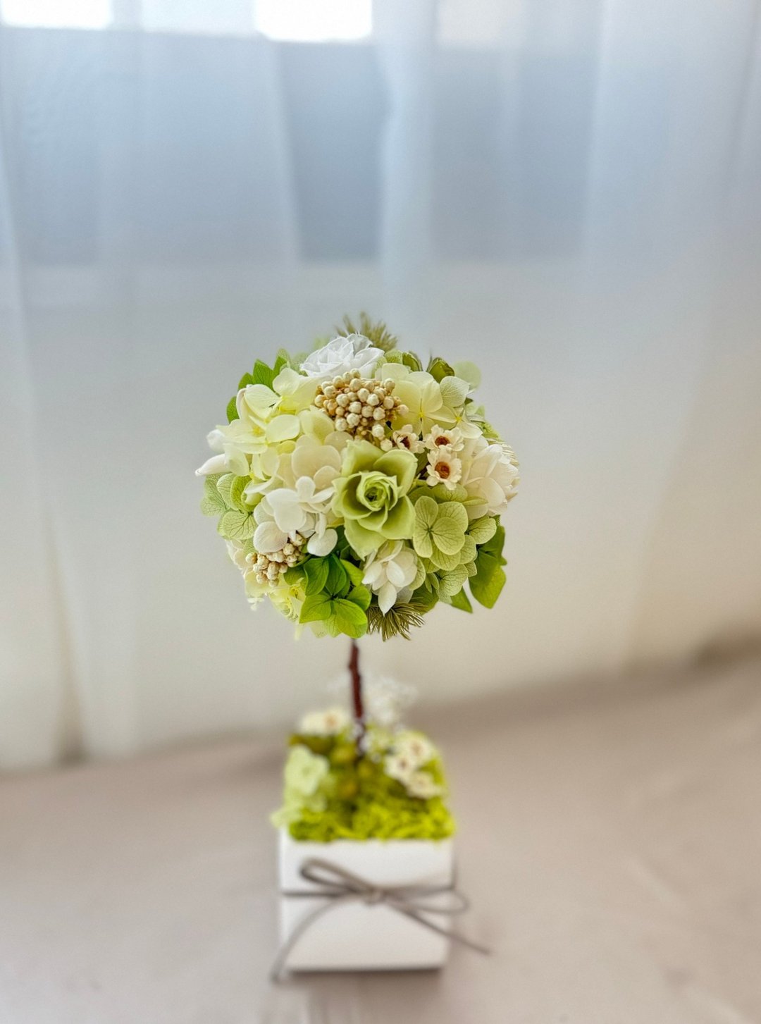 永生花许愿树 永生花花球树 - 干燥花/捧花 - 植物．花 绿色