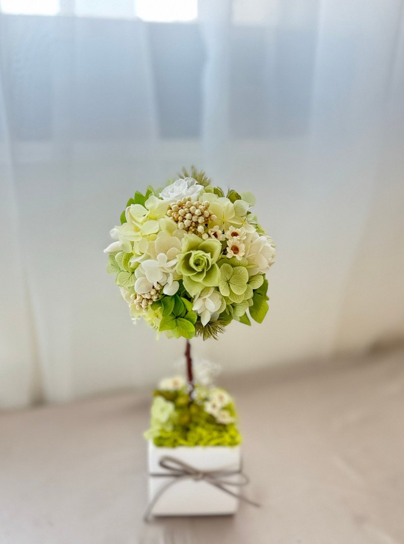 永生花许愿树 永生花花球树 - 干燥花/捧花 - 植物．花 绿色