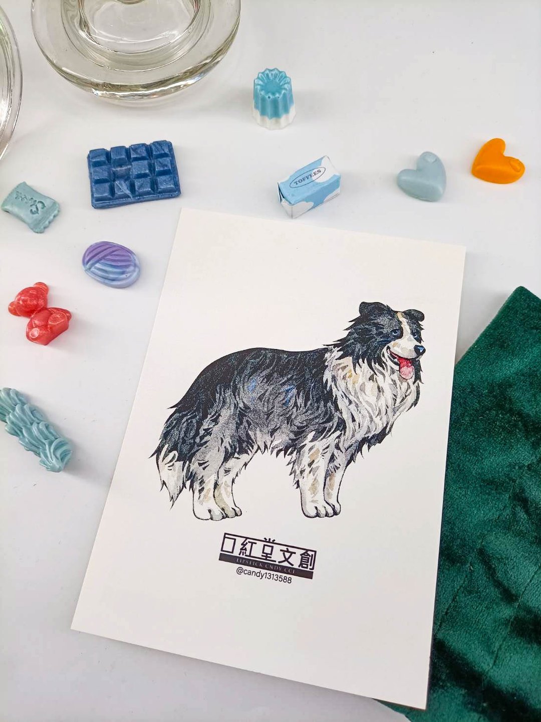 KR474_口紅堂明信片_邊境牧羊犬10_candy1313588 postcard - 卡片/明信片 - 纸 多色