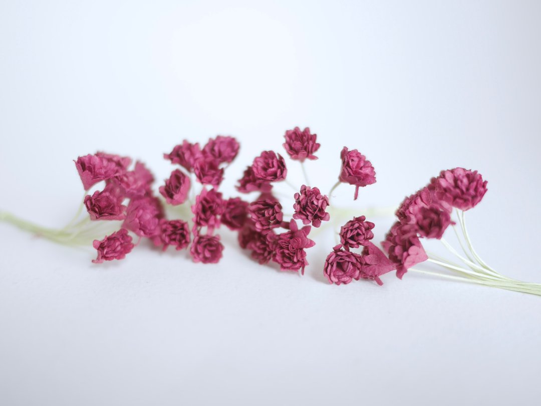 Paper Flower, DIY 100 pieces gypsophila, 100 pieces, size 1 cm. burgundy color - 其他 - 纸 红色