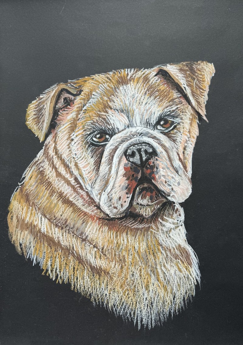 绘画英国斗牛犬肖像斗牛犬艺术油画棒画狗 - 墙贴/壁贴 - 纸 咖啡色