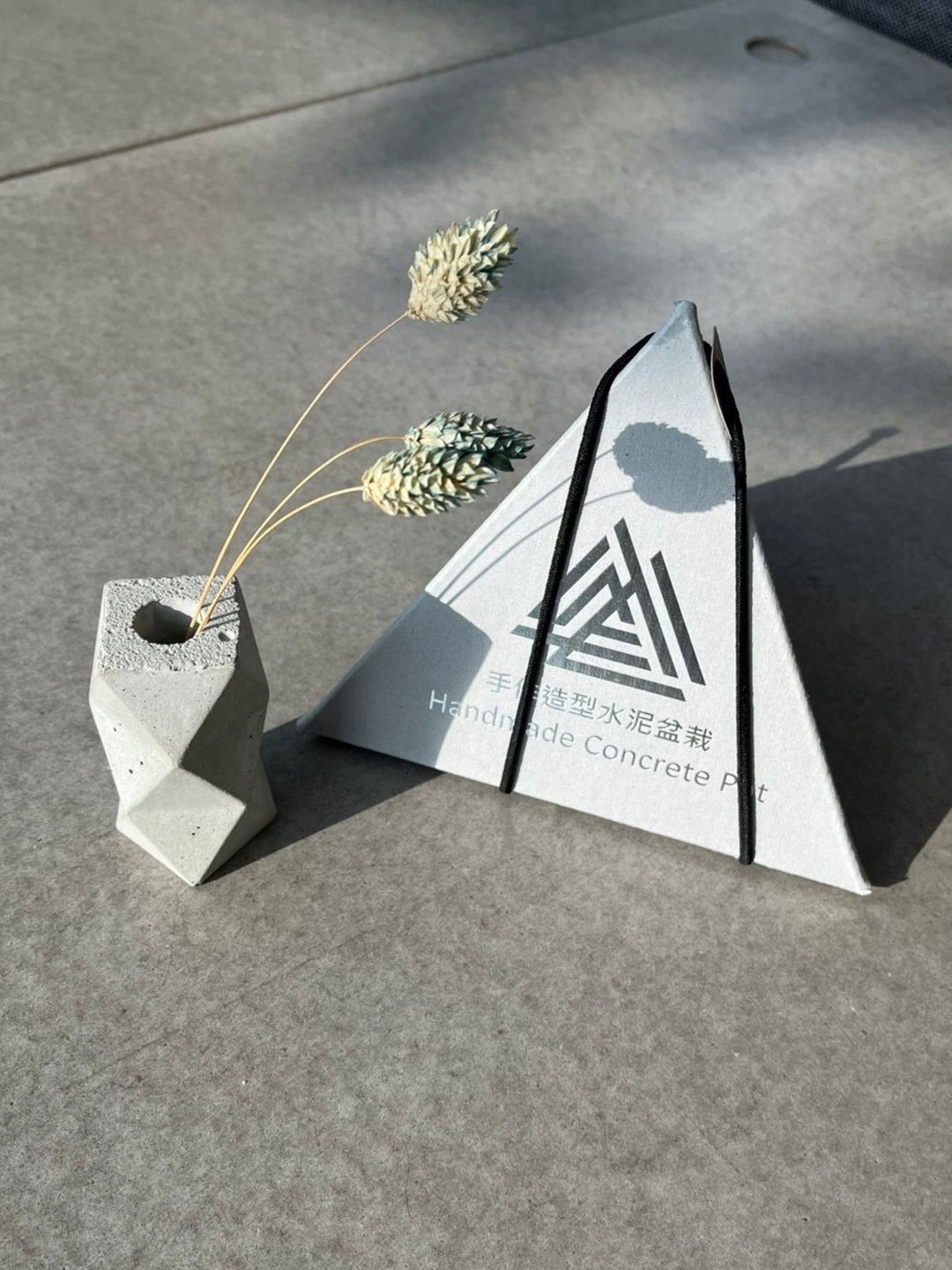 优惠价 DIY 造型水泥盆栽 - 植栽 - 其他材质 