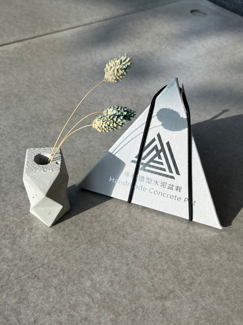 DIY造型水泥盆栽 - 植栽 - 其他材质 