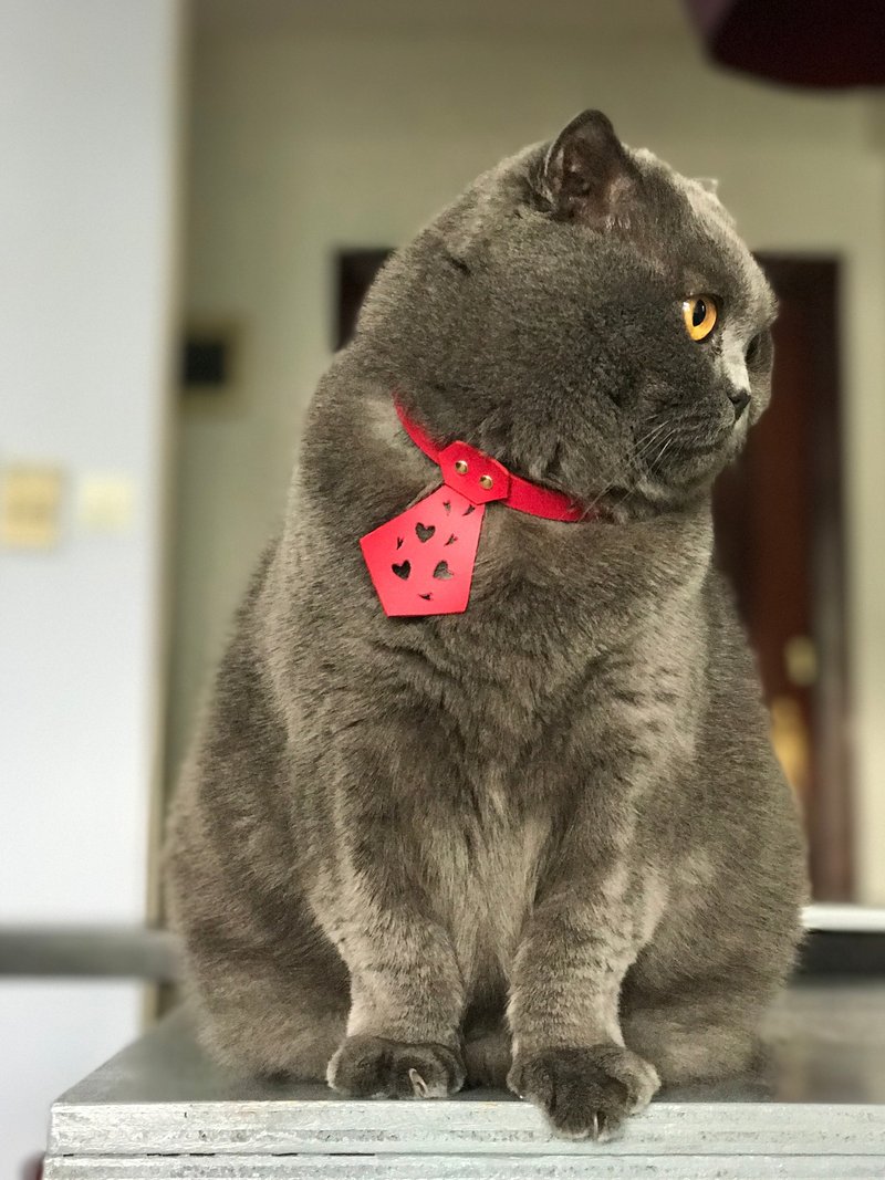 zemoneni 全手作 牛皮 宠物项圈 领带款 衣冠楚楚小禽兽 - 项圈/牵绳 - 真皮 红色