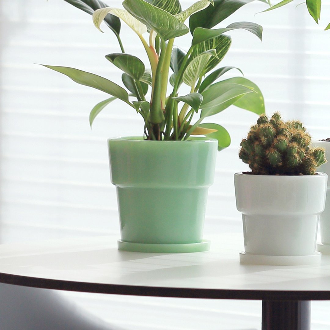 日本ideaco 复古风奶玉植栽盆器(直径12cm)-大-多色可选 - 植栽/盆栽 - 玻璃 绿色