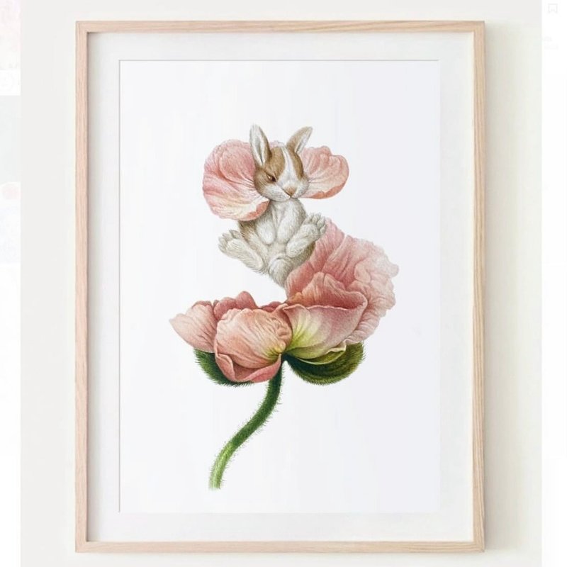 罂粟兔 - 墙贴/壁贴 - 纸 粉红色