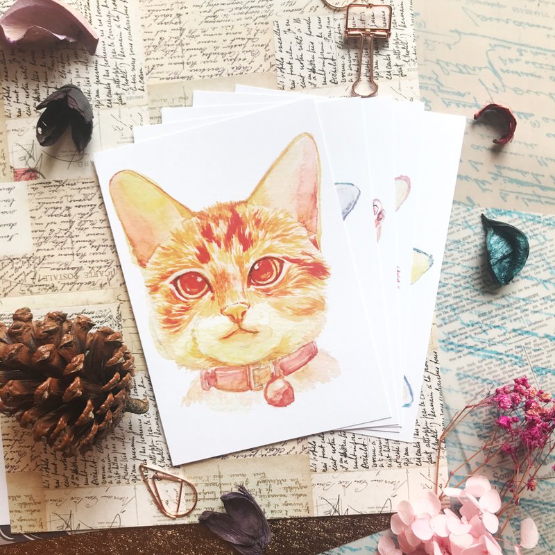 斑比成长史-套装明信片 - 卡片/明信片 - 纸 多色