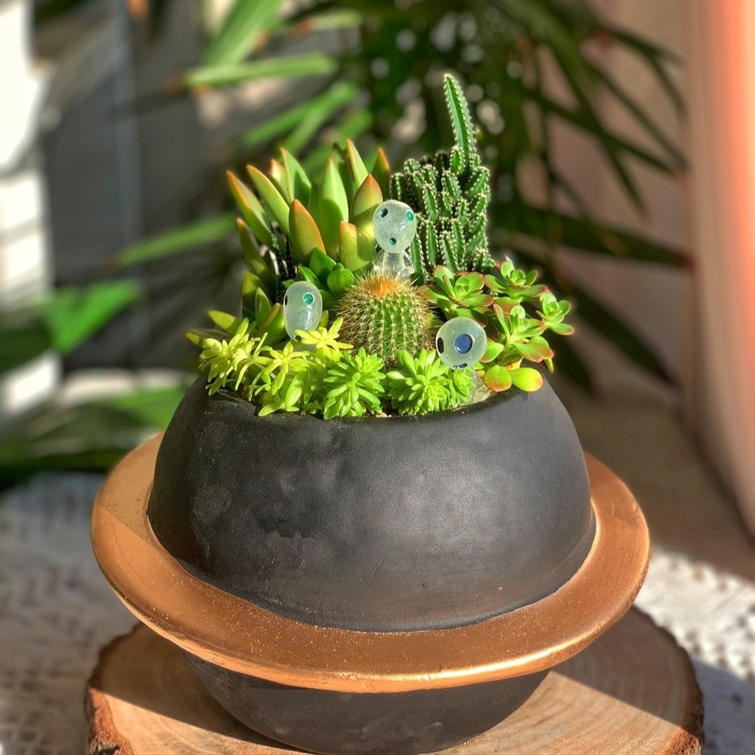 【开幕/乔迁贺礼】宇宙星球水泥多肉组盆 ∣ 升官送礼 新居落成 - 植栽/盆栽 - 植物．花 绿色