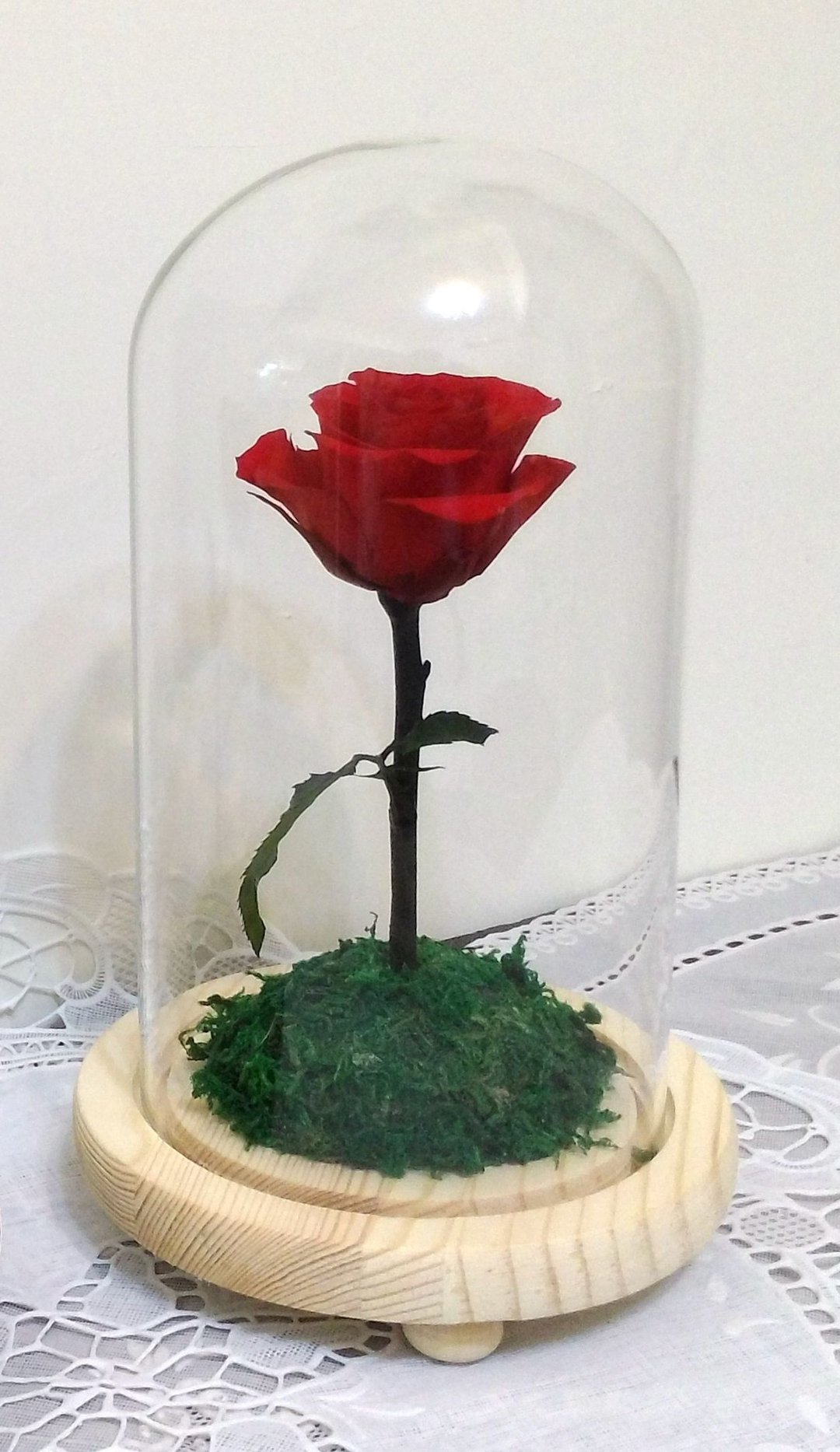 l 星球骄傲玫瑰  带灯玻璃罩花礼 l*小王子*情人*不凋花*永生花 - 植栽/盆栽 - 植物．花 红色
