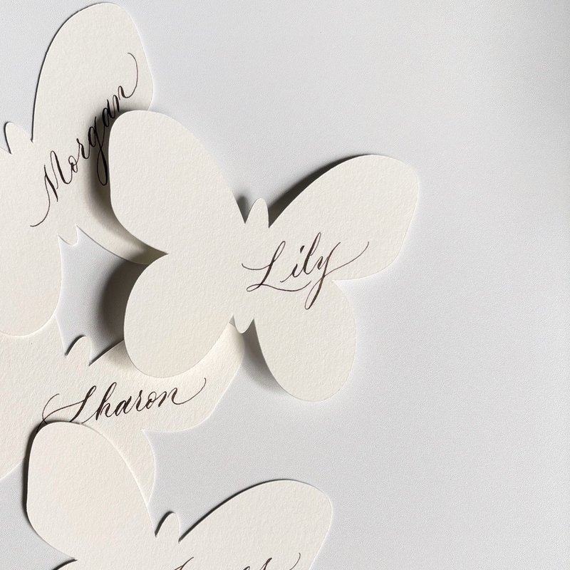 【英文书法 蝴蝶造型座位卡】定制化婚礼/活动手写宾客卡- 10入 - 卡片/明信片 - 纸 白色