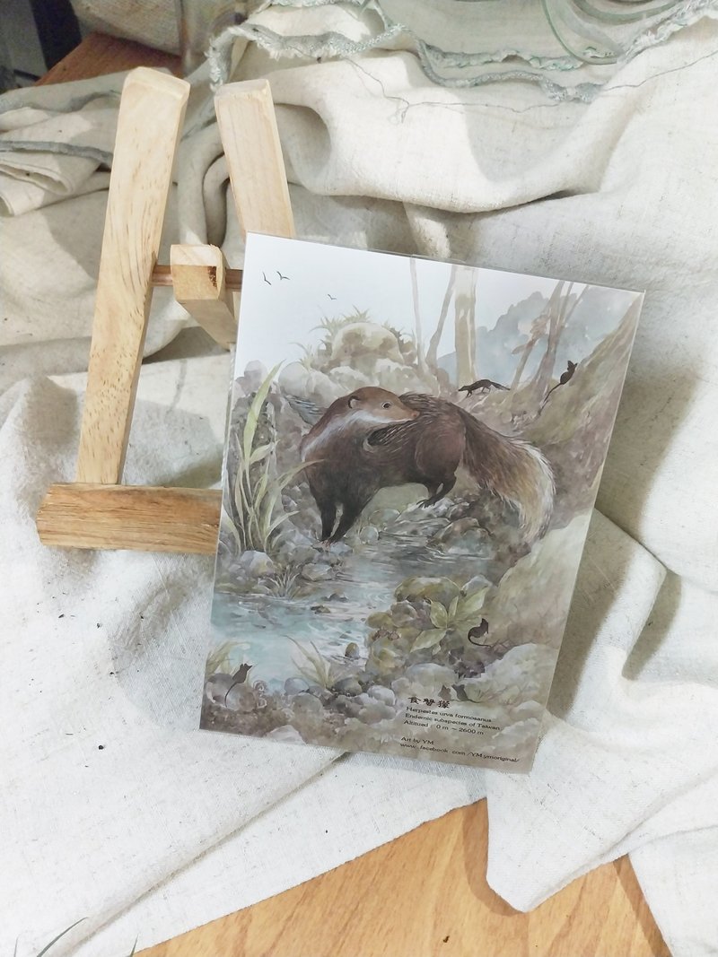 食蟹蒙-台湾特有动物系列-特有亚种 台湾 明信片 - 卡片/明信片 - 纸 