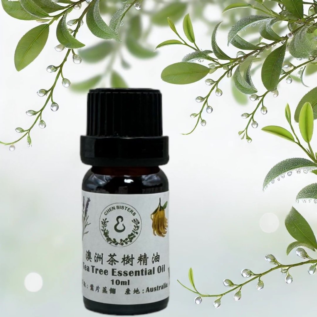 天然纯精油 茶树精油 10/50ML 100%纯精油 单方精油 - 香薰/精油/线香 - 精油 
