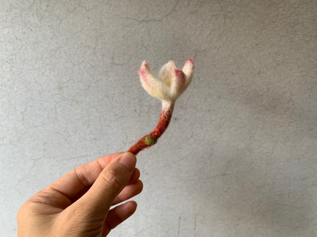 缅栀花羊毛毡 - 摆饰 - 羊毛 粉红色