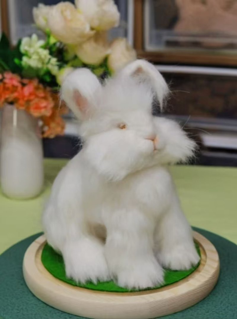 客制化逼真兔子 羊毛毡 宠物 娃娃 定制 手工 兔兔 毛孩子 266 - 玩具 - 羊毛 多色