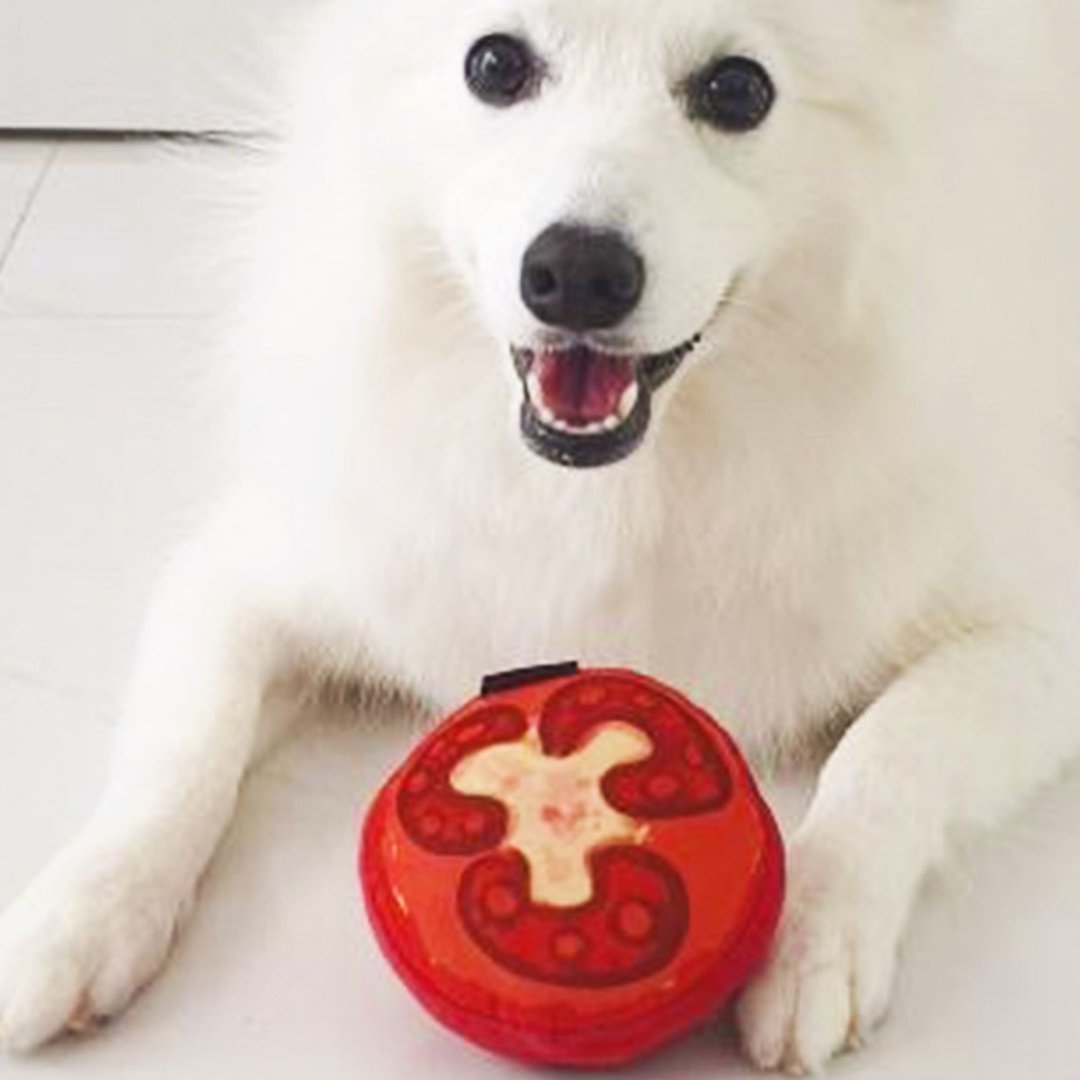 Furball Tomato Squeakie Chew Toy - 玩具 - 棉 