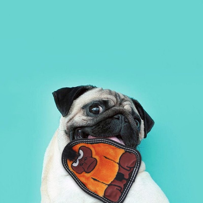 耐咬橘猩猩 S 宠物玩具 - 玩具 - 其他人造纤维 