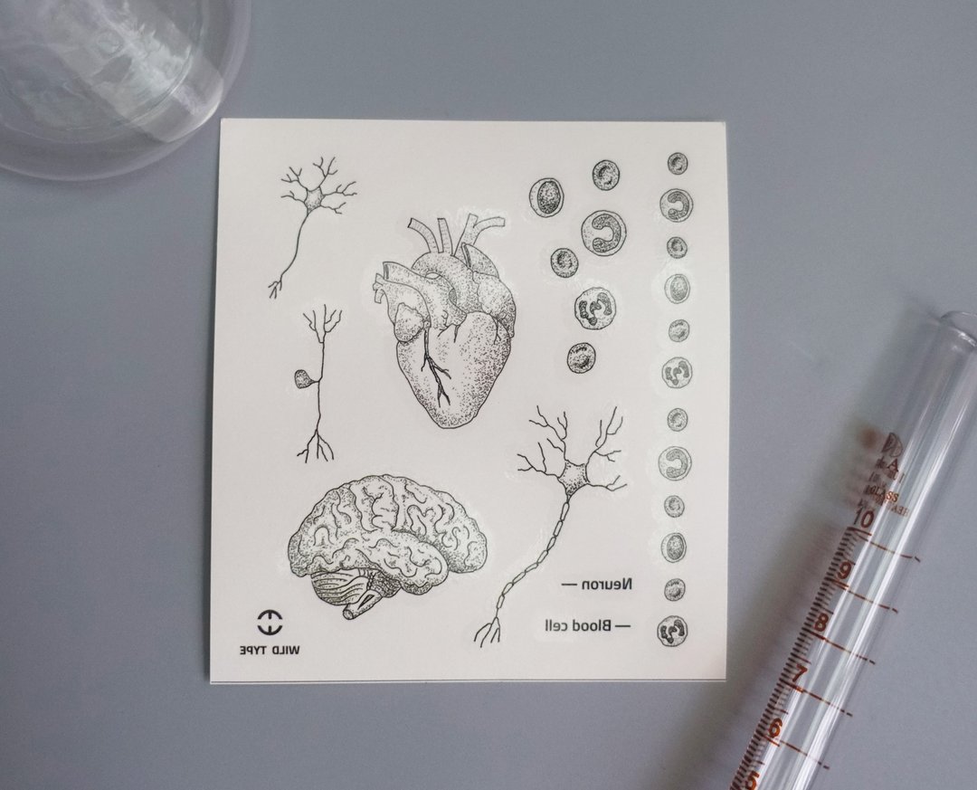 生物人-手绘生物系纹身贴纸2入 - 纹身贴 - 纸 黑色