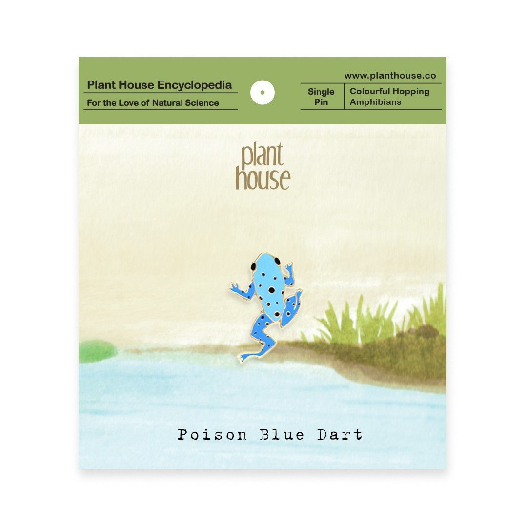 Poison Blue Dart Plant house - 胸针 - 铜/黄铜 多色