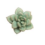 设计师品牌 - NO.109 Garden