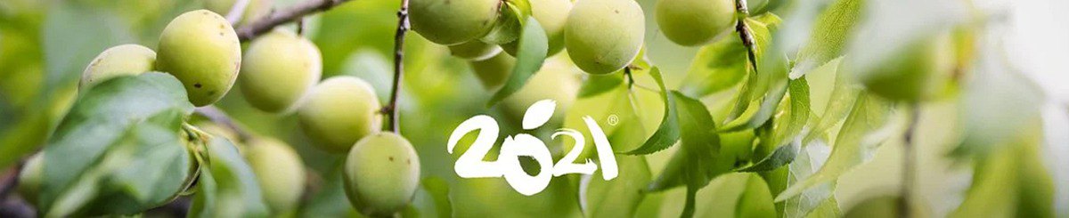 2021社会企业