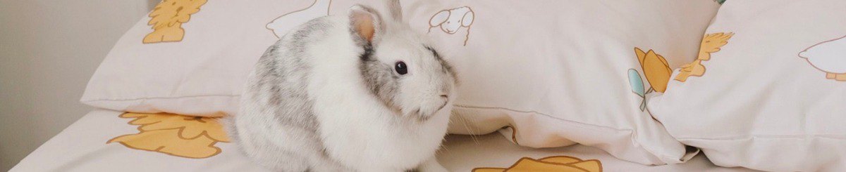 设计师品牌 - 815a.m