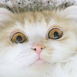 废物人生