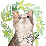 设计师品牌 - Abby's Illustration