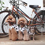 设计师品牌 - A BIENTOT!