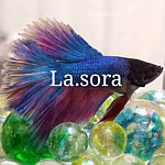设计师品牌 - Luminous accessory sora
