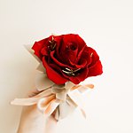 午后有花 | 花艺工作室