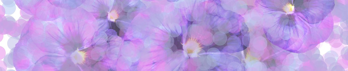 设计师品牌 - Alf